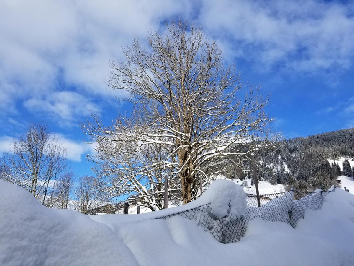Alpenhotel Wildschoenau B&B Exteriör bild